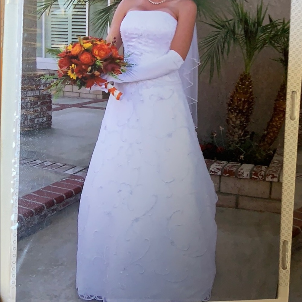 Wedding Dress and Veil